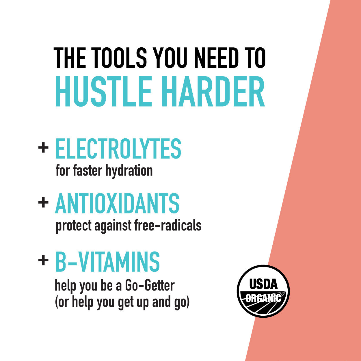 OG2 ROAR WTR GEORGIA PCH (12x18.00)-2