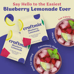 Blueberry Lemonade 12 Pack - 3rd Party
