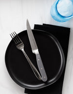 Superior Set of 4 Steak Knives - Gray